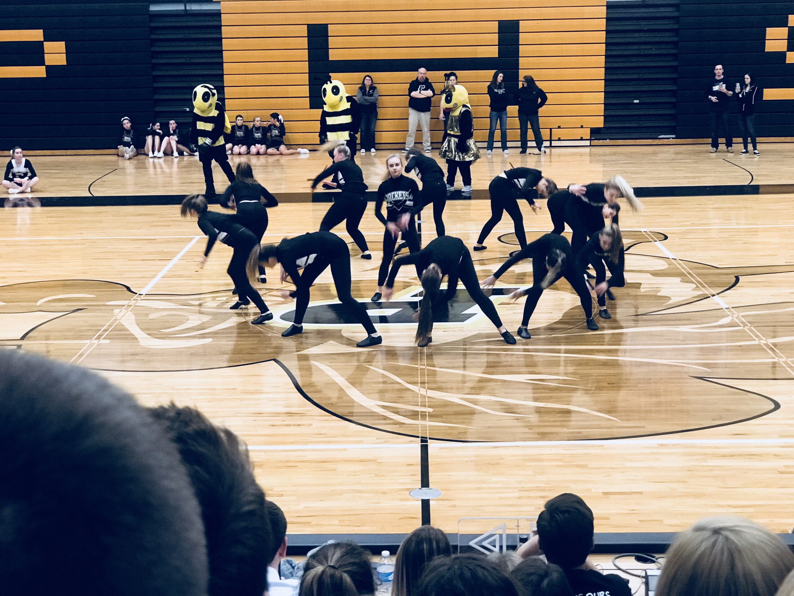 Dancing Their Way To States: An Update on the Dance Team